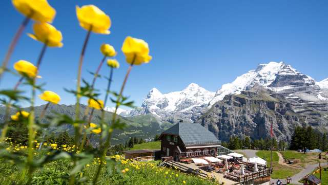 Imagefilm Allmendhubel