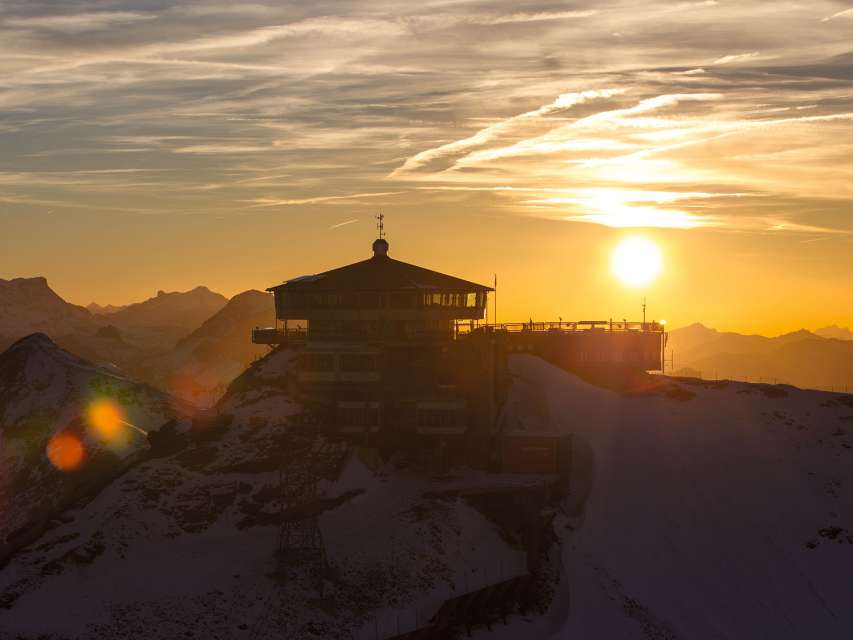 Vom Geheimagent James Bond bis zur Kuh Lieselotte