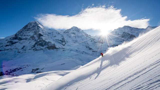 Jungfrau Ski Region - Grindelwald-Wengen