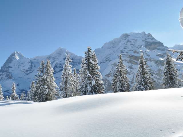 Images