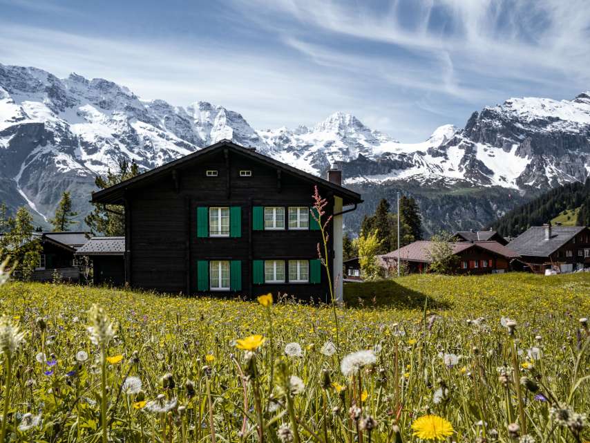 Haus in Mürren im Dorf, im Hintergrund die Bergkette und im Vordergrund Blumen