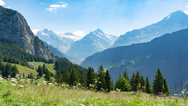 Schynige Platte - Top of Swiss Tradition