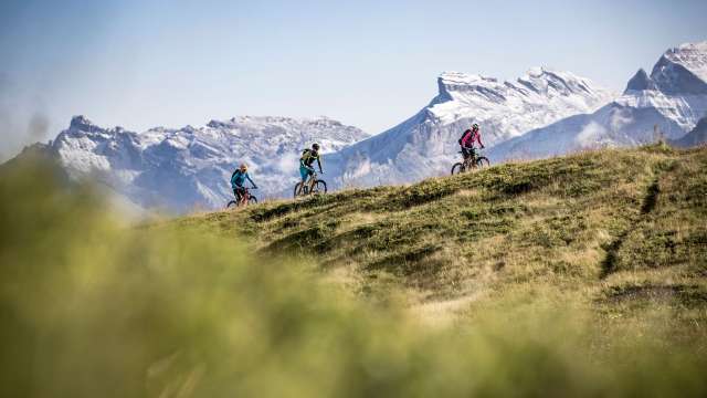 Panoramic Trail riding